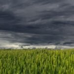 Massas de ar frio mantêm temperaturas baixas em parte do Brasil durante setembro