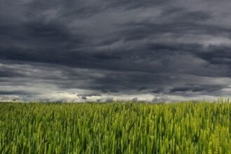 Massas de ar frio mantêm temperaturas baixas em parte do Brasil durante setembro Massas de ar frio mantêm temperaturas baixas em parte do Brasil durante setembro