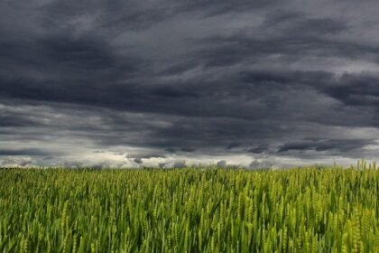 Massas de ar frio mantêm temperaturas baixas em parte do Brasil durante setembro Massas de ar frio mantêm temperaturas baixas em parte do Brasil durante setembro
